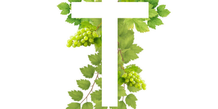 2026 cathédrale affiche triduum a3